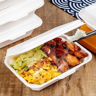 7 X 5in Biodegradable Sugarcane Bagasse Pulp Hinged Food Container Take Out Lunch Box