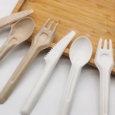 Biodegradable Bagasse Eco Friendly Disposable Cutlery 141.7mm Compostable Forks And Spoons