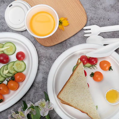 Green 100% Biodegradable Compostable Party Tableware Eco Friendly Disposable Plates