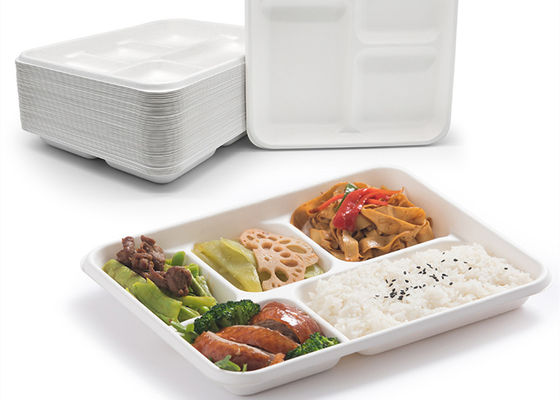 School Disposable Biodegradable Bagasse Tableware 6 5 3 Compartment Lunch Tray