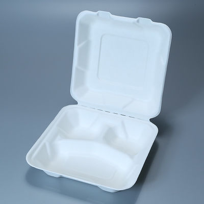 8in 9in Biodegradable Sugarcane Bagasse Clamshell Freezable Fast Food Container Tableware