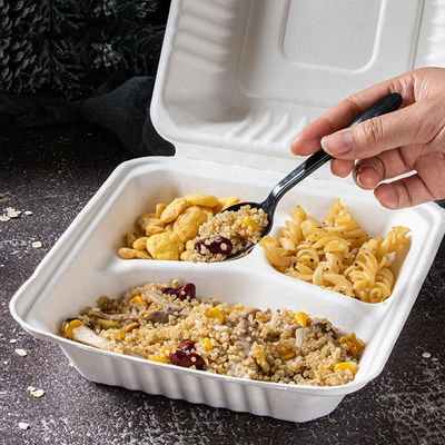 8in 9in Biodegradable Sugarcane Bagasse Clamshell Freezable Fast Food Container Tableware