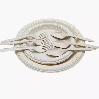 9in 10in Round Cornstarch Disposable Plates Biodegradable Round Plate Tableware