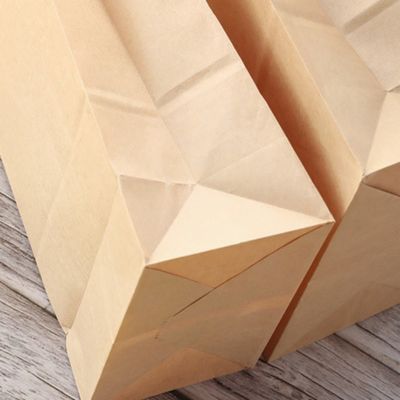 Kraft Biodegradable Disposable Tableware Candy Paper Bag Without Handle BSCI