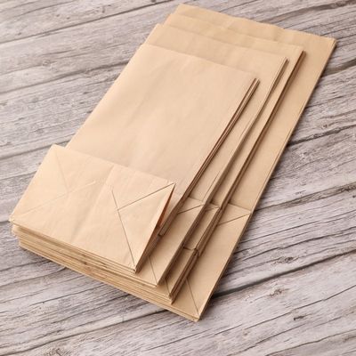Kraft Biodegradable Disposable Tableware Candy Paper Bag Without Handle BSCI