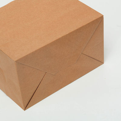 250gsm 300gsm Biodegradable Disposable Tableware Brown Paper Bags With Handles