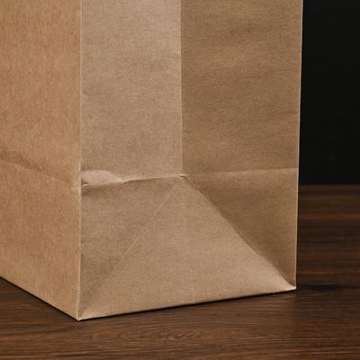250gsm 300gsm Biodegradable Disposable Tableware Brown Paper Bags With Handles