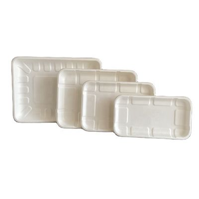 Fruit Sugarcane Bagasse Pulp Weddings Vegetable Disposable Meat Microwave Safe Tray