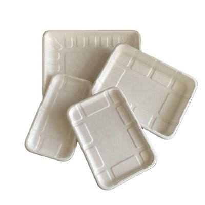 Fruit Sugarcane Bagasse Pulp Weddings Vegetable Disposable Meat Microwave Safe Tray