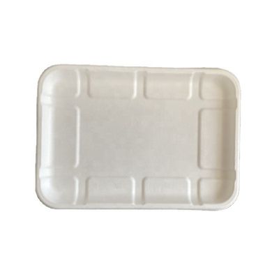 Fruit Sugarcane Bagasse Pulp Weddings Vegetable Disposable Meat Microwave Safe Tray