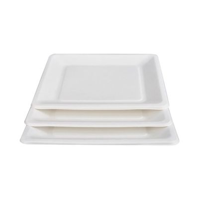 9in 10in Eco Friendly Compostable Sugarcane Paper Plates Dessert Square Cake Plate