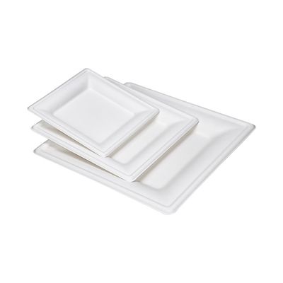 9in 10in Eco Friendly Compostable Sugarcane Paper Plates Dessert Square Cake Plate