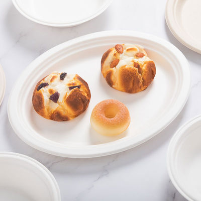 Renewable 8in 10in Biodegradable Bagasse Tableware Plate Pfas Free Take Out Containers