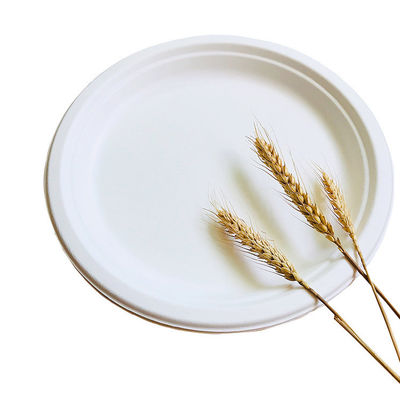 Renewable 8in 10in Biodegradable Bagasse Tableware Plate Pfas Free Take Out Containers