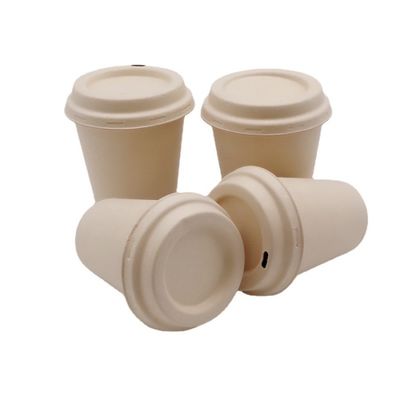 Milk Pfas Free Biodegradable Bagasse Tableware 8oz Disposable Takeaway Coffee Cups