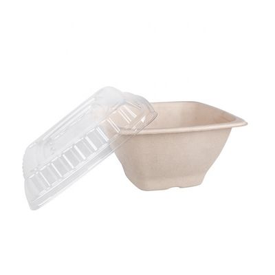 16 24 32oz Biodegradable Sugarcane Bagasse Bowl Fruit Salad Containers Box With Cover