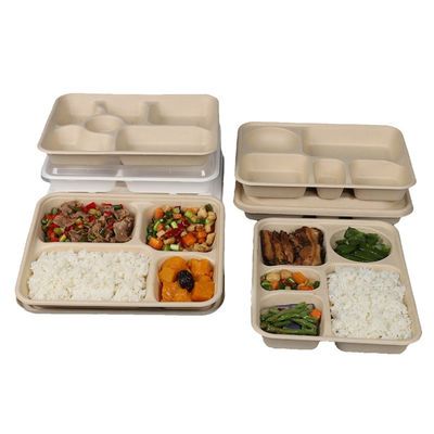 Disposable Rectangular Biodegradable Sugarcane Bagasse Trays Take Away Trays With Lids