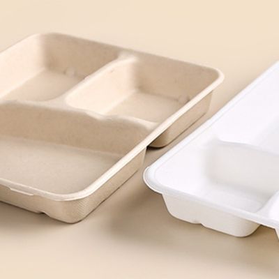 Disposable Rectangular Biodegradable Sugarcane Bagasse Trays Take Away Trays With Lids
