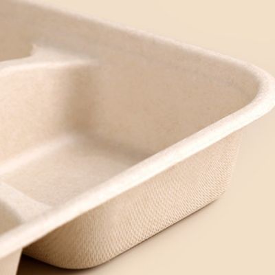 Disposable Rectangular Biodegradable Sugarcane Bagasse Trays Take Away Trays With Lids