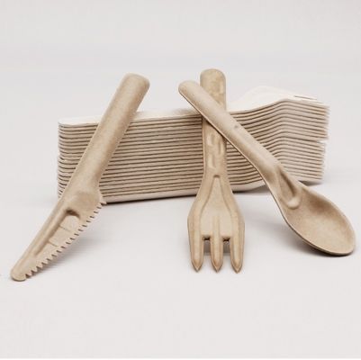 Biodegradable Bagasse Eco Friendly Disposable Cutlery 141.7mm Compostable Forks And Spoons