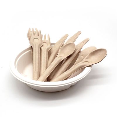 Biodegradable Bagasse Eco Friendly Disposable Cutlery 141.7mm Compostable Forks And Spoons