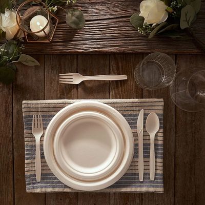 Eco Sustainable Compostable Disposable Plates Cutlery Disposable Take Out Food Containers