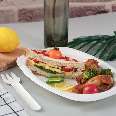Green 100% Biodegradable Compostable Party Tableware Eco Friendly Disposable Plates