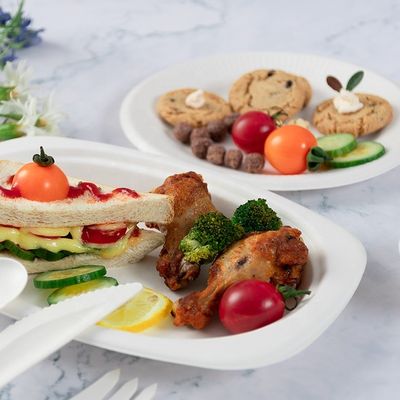 Green 100% Biodegradable Compostable Party Tableware Eco Friendly Disposable Plates