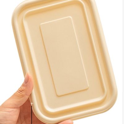 500 600ML Disposable Compostable Cornstarch Meal Lunch Box Fast Food Packaging Box