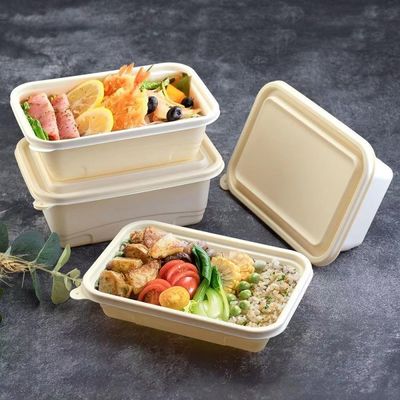 500 600ML Disposable Compostable Cornstarch Meal Lunch Box Fast Food Packaging Box