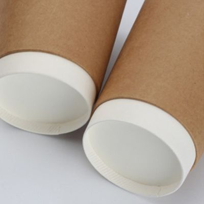 10oz 12oz PE Coated Double Wall Paper Cup Disposable Coffee Cups With Lids